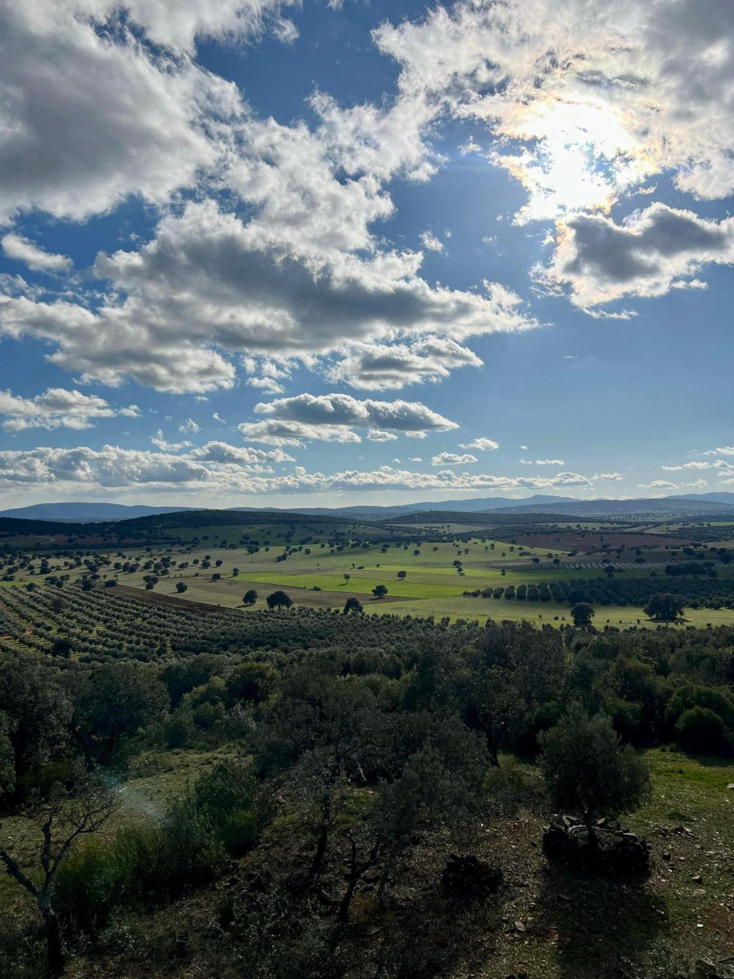 Casa Rural La Morera Almuradiel Eksteriør billede
